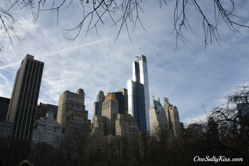 NYC Buildings Seen From Central Park