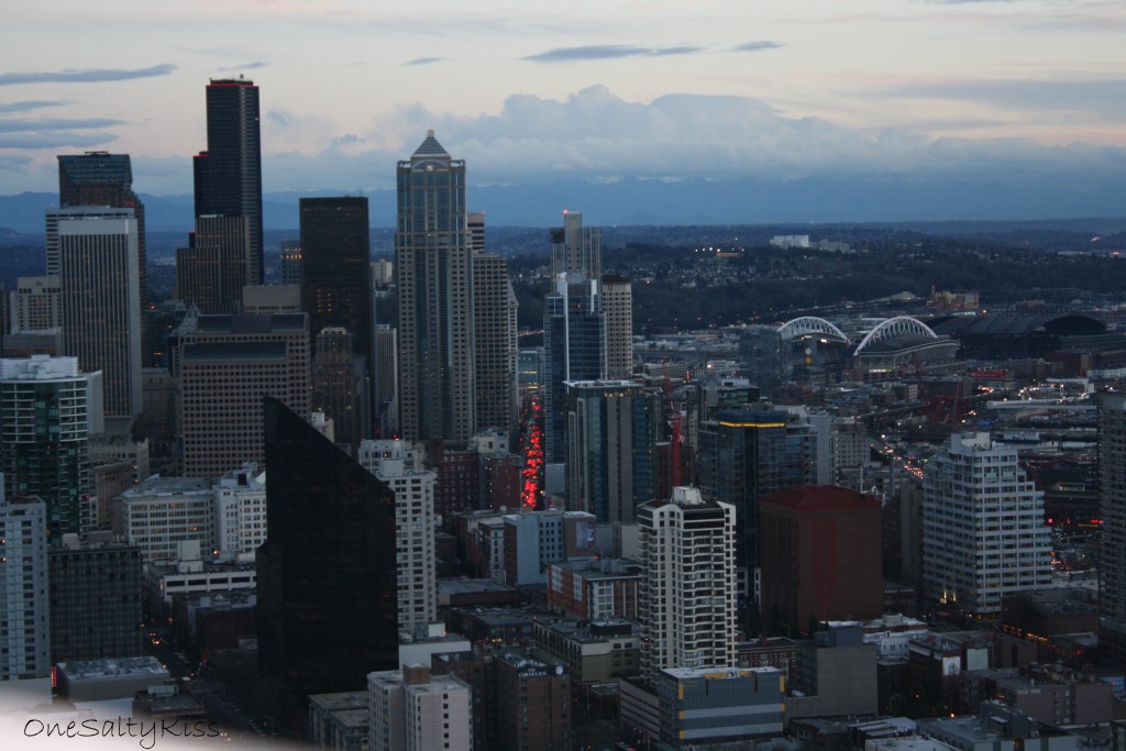 View From The Space Needle